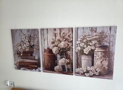3 framed canvas 45x65cm each