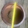 Plant pots Image 3