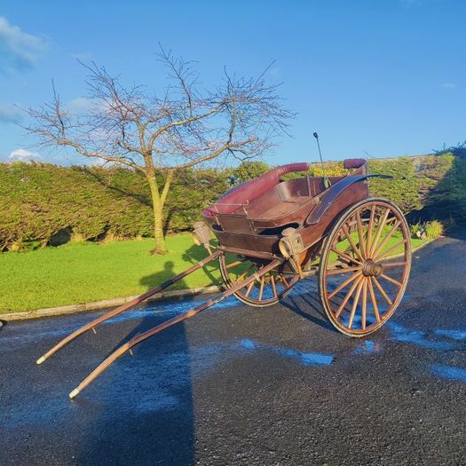 Horse Carriage