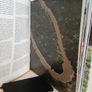 The Natural Wonders of Australia by Colour Library Books (RB303) Image 4