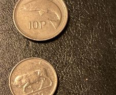 Irish Pre Euro Coins 1994 10p Salmon and 1996 5p Bull