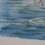Fremantle Waterside Image 5