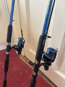 Shakespeare firebird river rod 2x