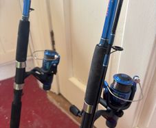 Shakespeare firebird river rod 2x