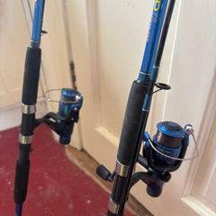 Shakespeare firebird river rod 2x