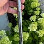 Ping Driver Shaft Image 5