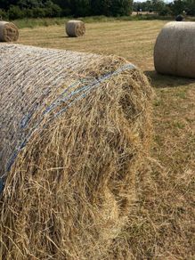 Hay & Haylage for sale