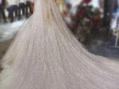 Cathedral Length Bridal Veil