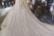 Cathedral Length Bridal Veil
