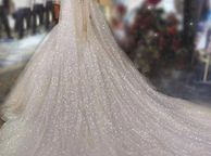 main image for ad Cathedral Length Bridal Veil