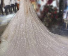 Cathedral Length Bridal Veil