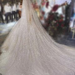 Cathedral Length Bridal Veil