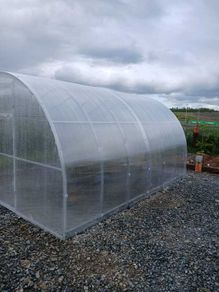 Huge Greenhouse Sale  Limited Time! 3x4M