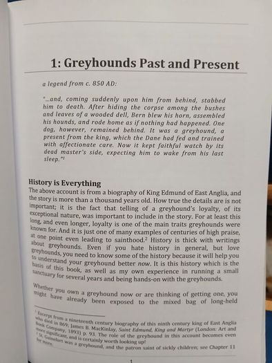 Understanding Greyhounds - Mary Fox