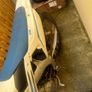2022 Tm125mx Image 10