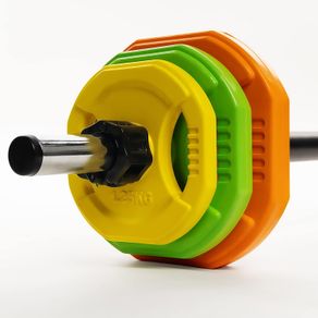 Weights Discs 5  2.5 1.25 kg with handles