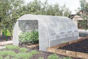 Walk-In Polytunnel Greenhouse