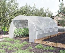 Walk-In Polytunnel Greenhouse