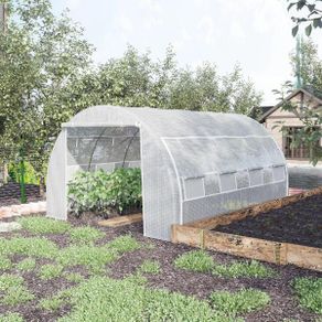 Walk-In Polytunnel Greenhouse