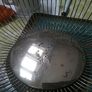EPNS Fruit/Bread Basket Image 3