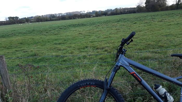 Orange Crush Comp Mountain Bike Large