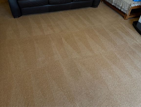 Carpet cleaning