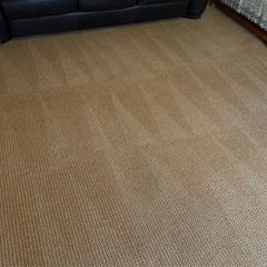 Carpet cleaning