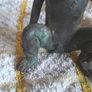 old bronze monkey Image 4