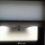 Roller blinds Image 3