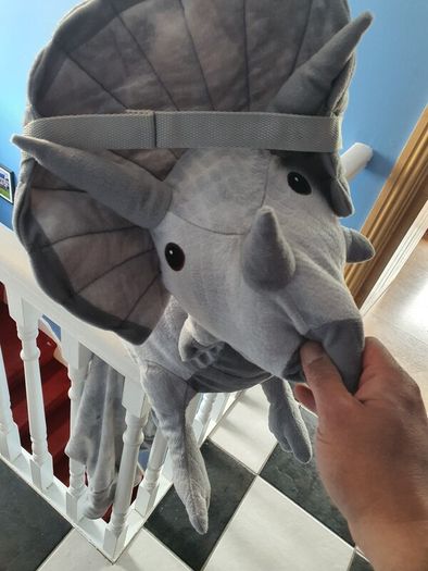 costume triceraptors
