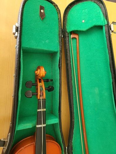 violin
