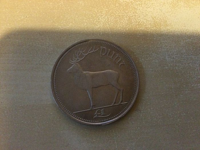 Irish punt coin 1998