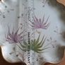 3 decorative serving plates lilac, green and gold Image 3