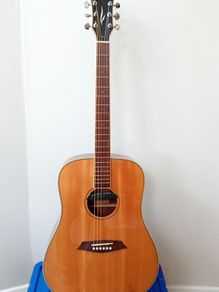 Sire R3 Series, Electro acoustic, Zebra electrics