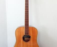 Sire R3 Series, Electro acoustic, Zebra electrics