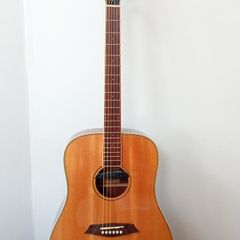 Sire R3 Series, Electro acoustic, Zebra electrics
