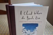 A Cloud Where the Birds Rise: A book about love and belonging . Michael Harding.