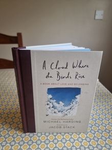 A Cloud Where the Birds Rise: A book about love and belonging . Michael Harding.