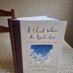 A Cloud Where the Birds Rise: A book about love and belonging . Michael Harding.