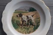 Royal Stafford Bone China German Pointer Decorative Plate