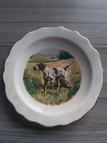 Royal Stafford Bone China German Pointer Decorative Plate