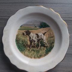 Royal Stafford Bone China German Pointer Decorative Plate
