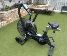Rogue Echo Bike