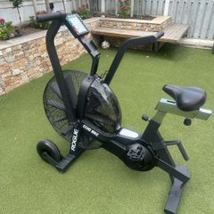 Rogue Echo Bike