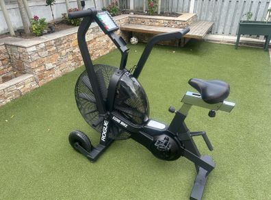 Rogue Echo Bike