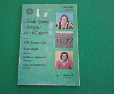 1982 All Ireland Hurling Final Match Programme