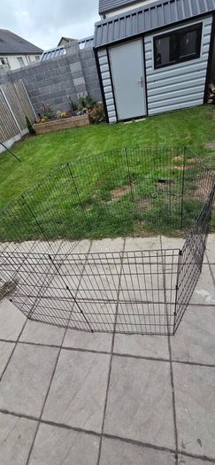 dog fence/pen
