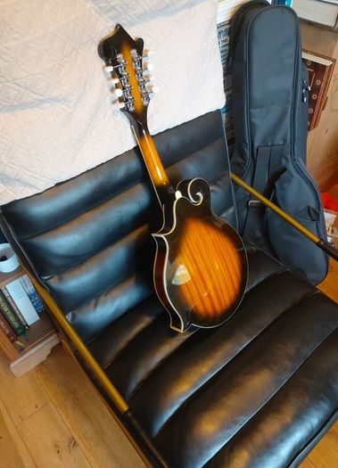 mandolin