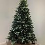 Christmas Tree Image 2