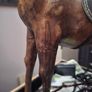 Liberty style Horse Image 6
